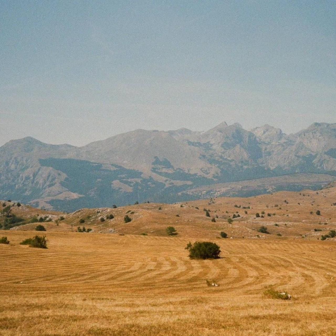 Camera; Chinon BF Big Finder - Image 5