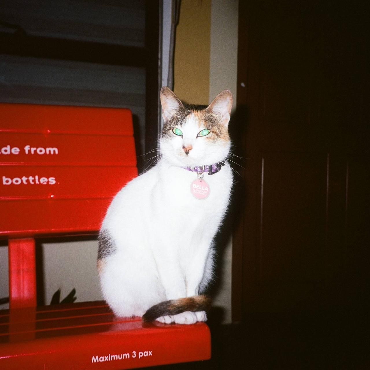 Complete bundle :) - Image 5