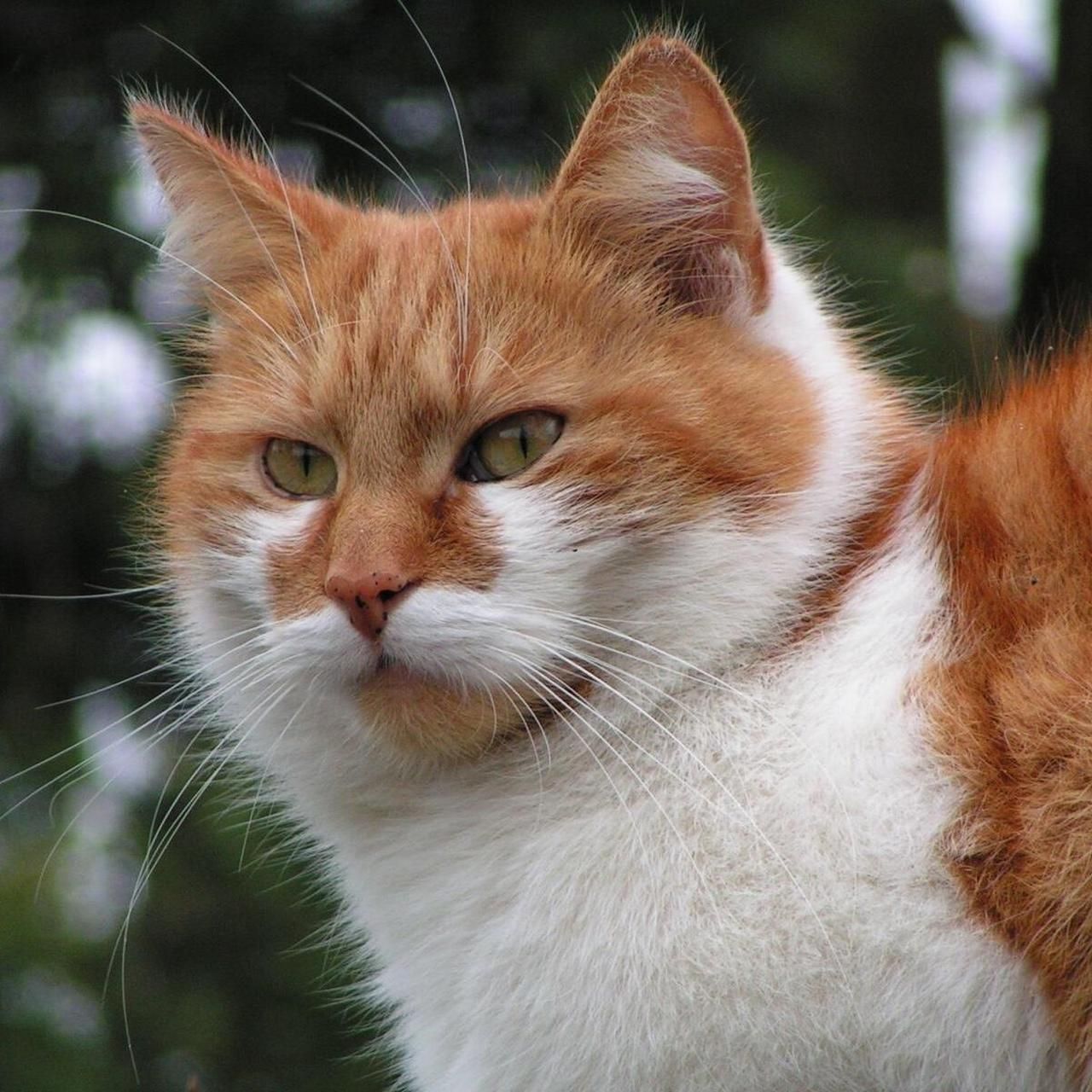 Amazing bundle - Image 8