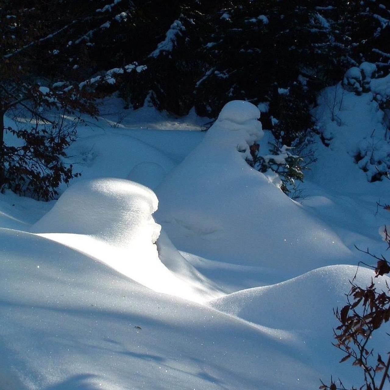 Camera: Fujifilm FinePix S304 - Image 7