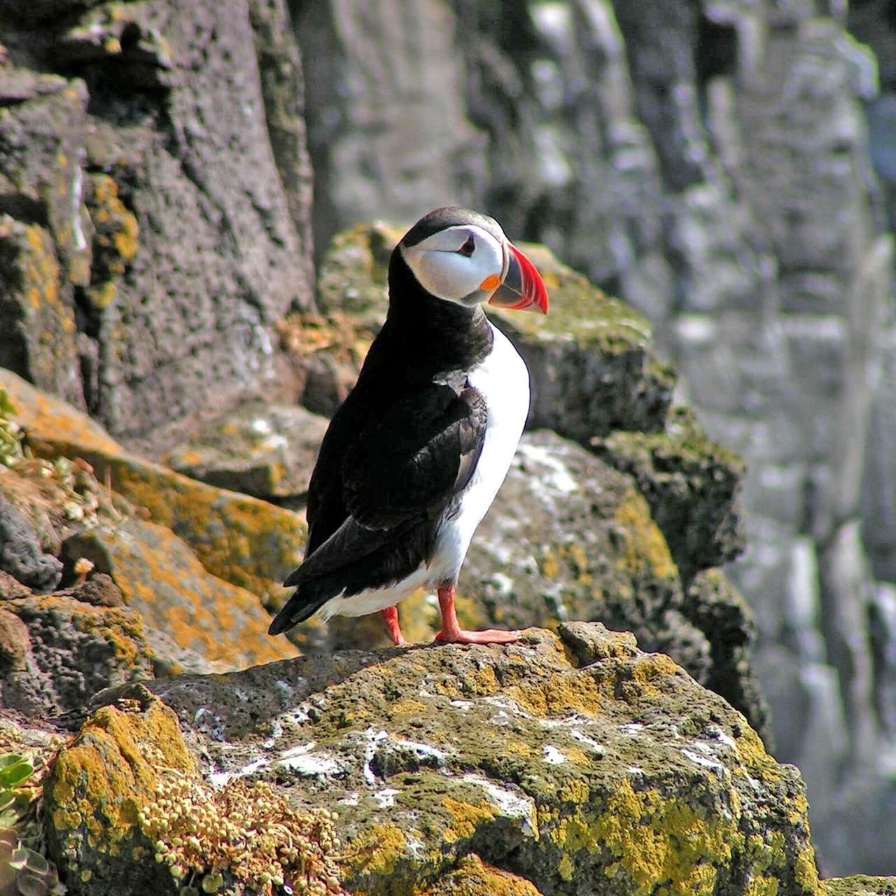 Amazing bundle - Image 5