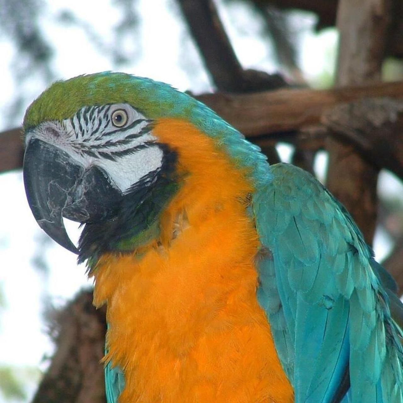 Camera: Fujifilm FinePix S304 - Image 5