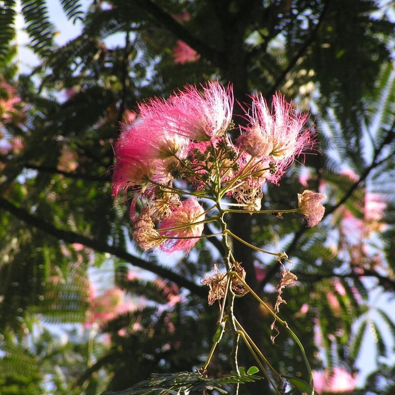 Amazing bundle - Image 6