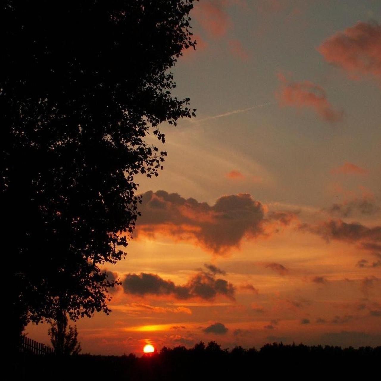 Camera: Minolta Dimage Z5 - Image 8