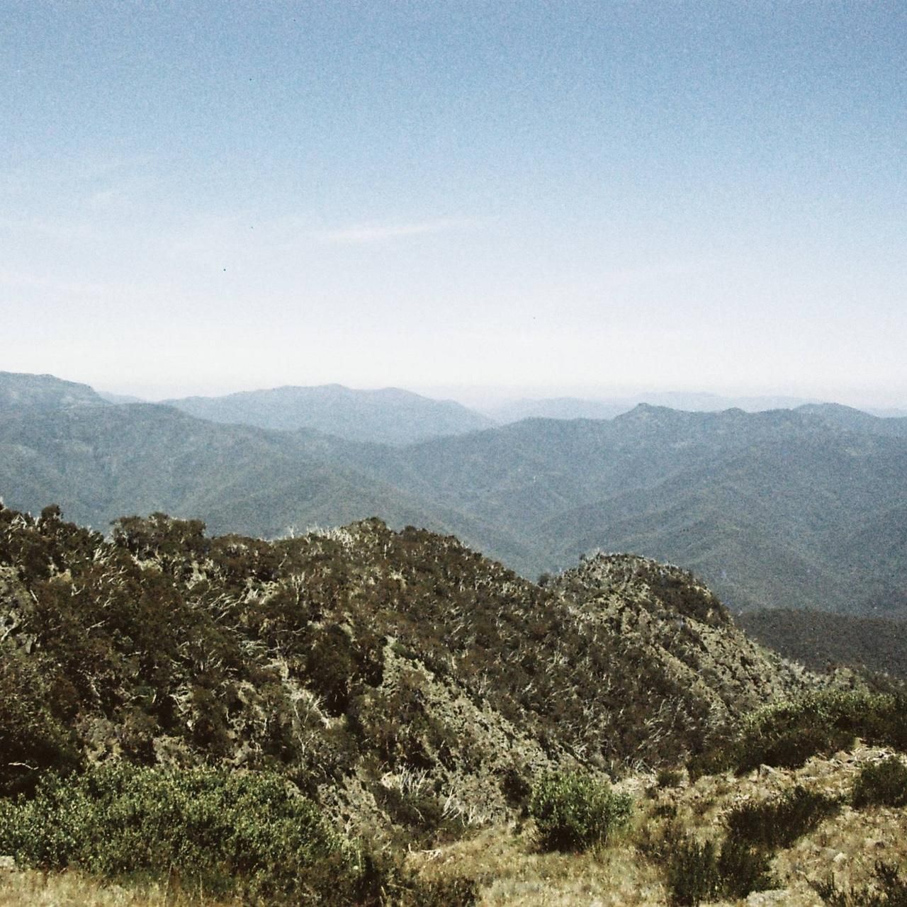 Camera: Minolta AF-E - Image 8