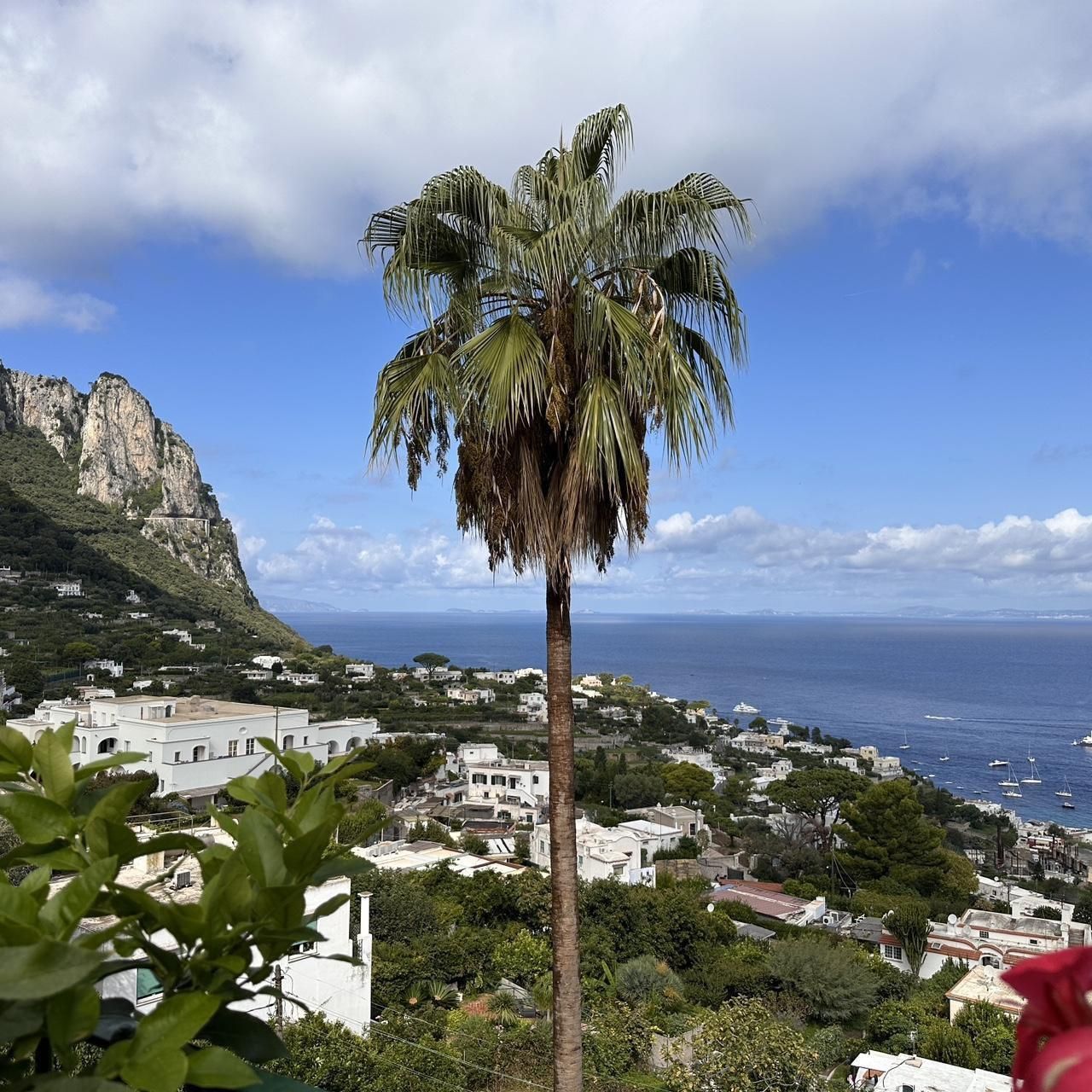 Camera: Minolta Dimage Z6 - Image 6