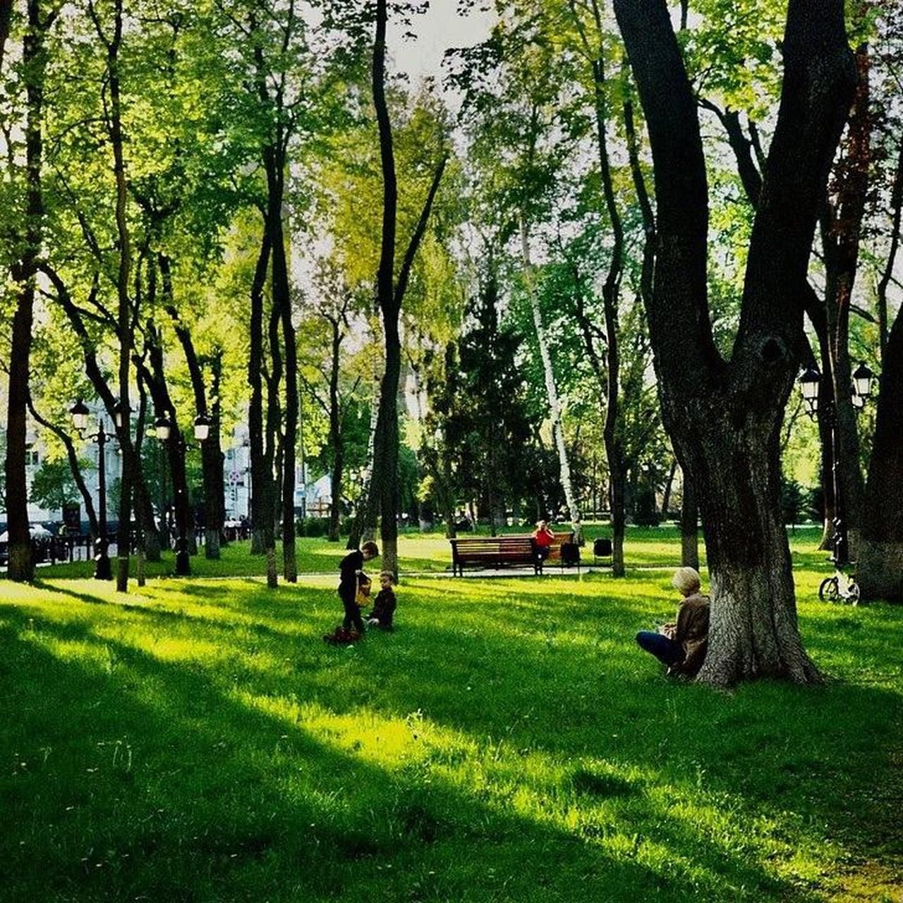 Camera: Ricoh AF-500 - Image 8