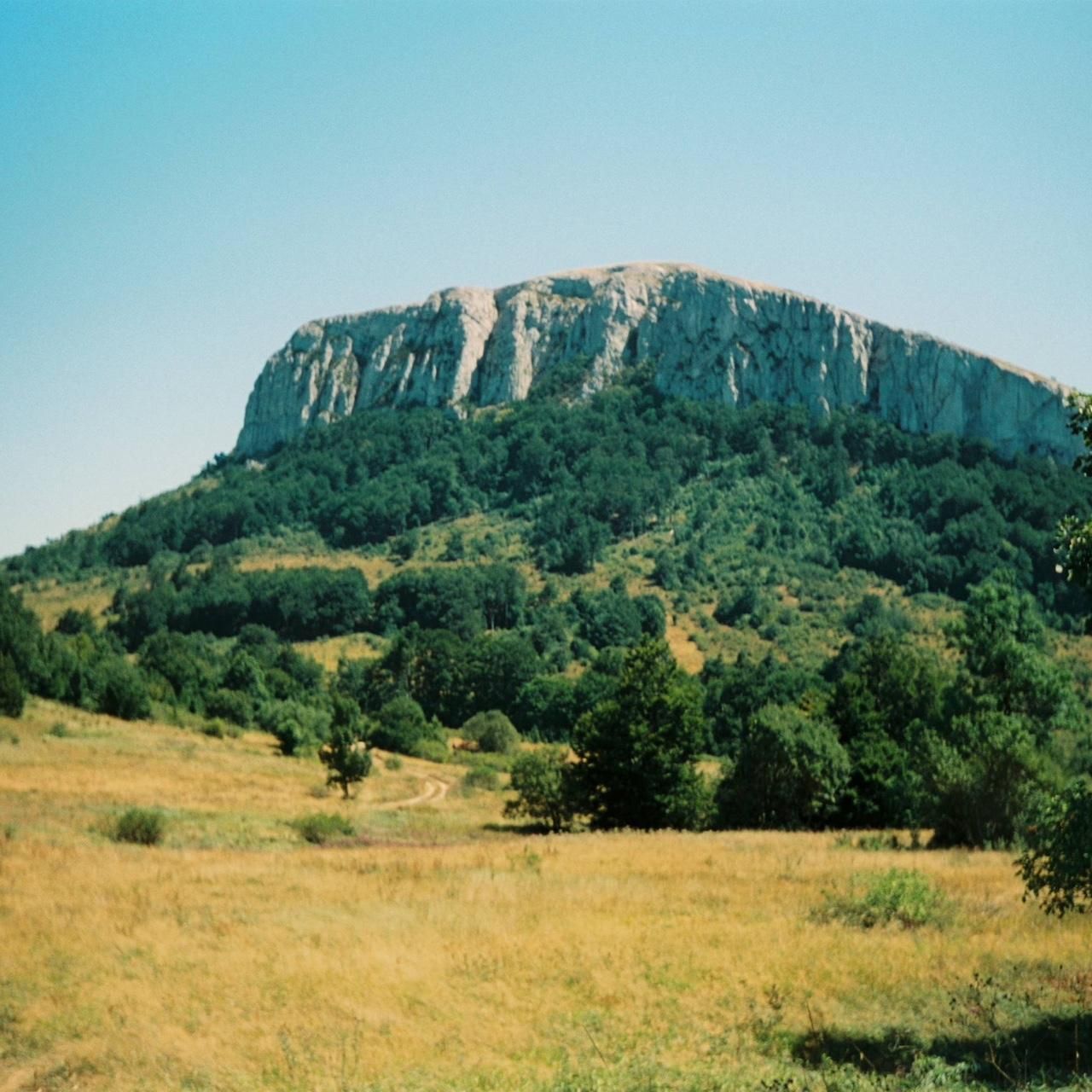 Camera; Samsung Maxima Zoom 105 Date - Image 7