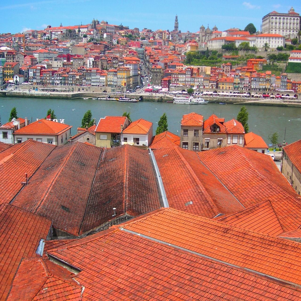 Camera: Konica DIMAGE X50 - Image 8