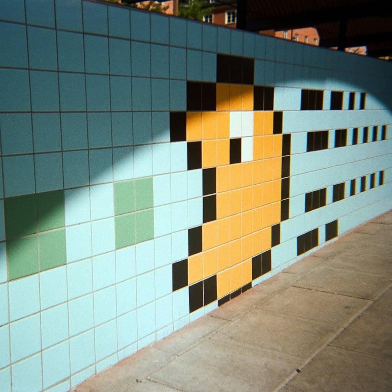 Camera; Goldline - Image 6