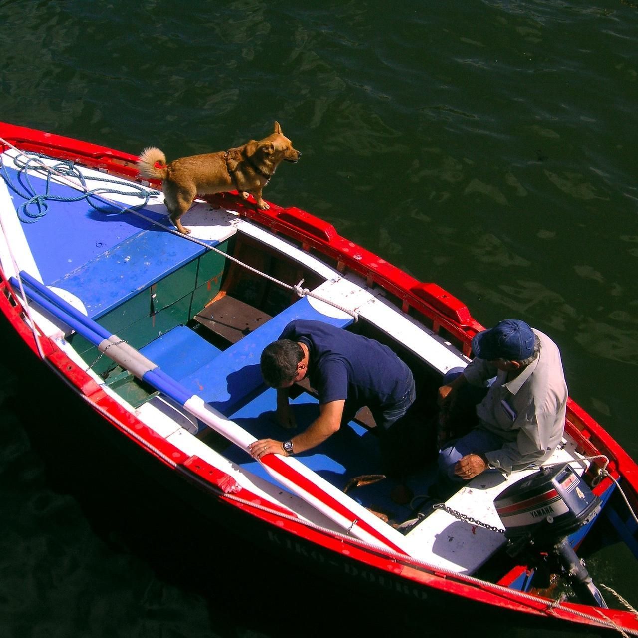 Camera: Konica DIMAGE X50 - Image 6