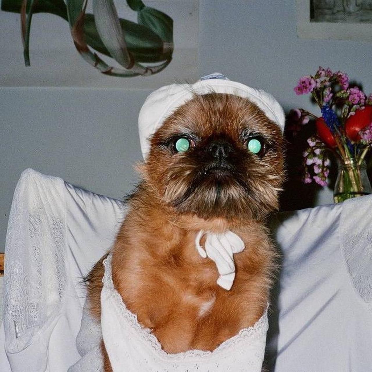 Camera: Samsung AF1050 Zoom - Image 6