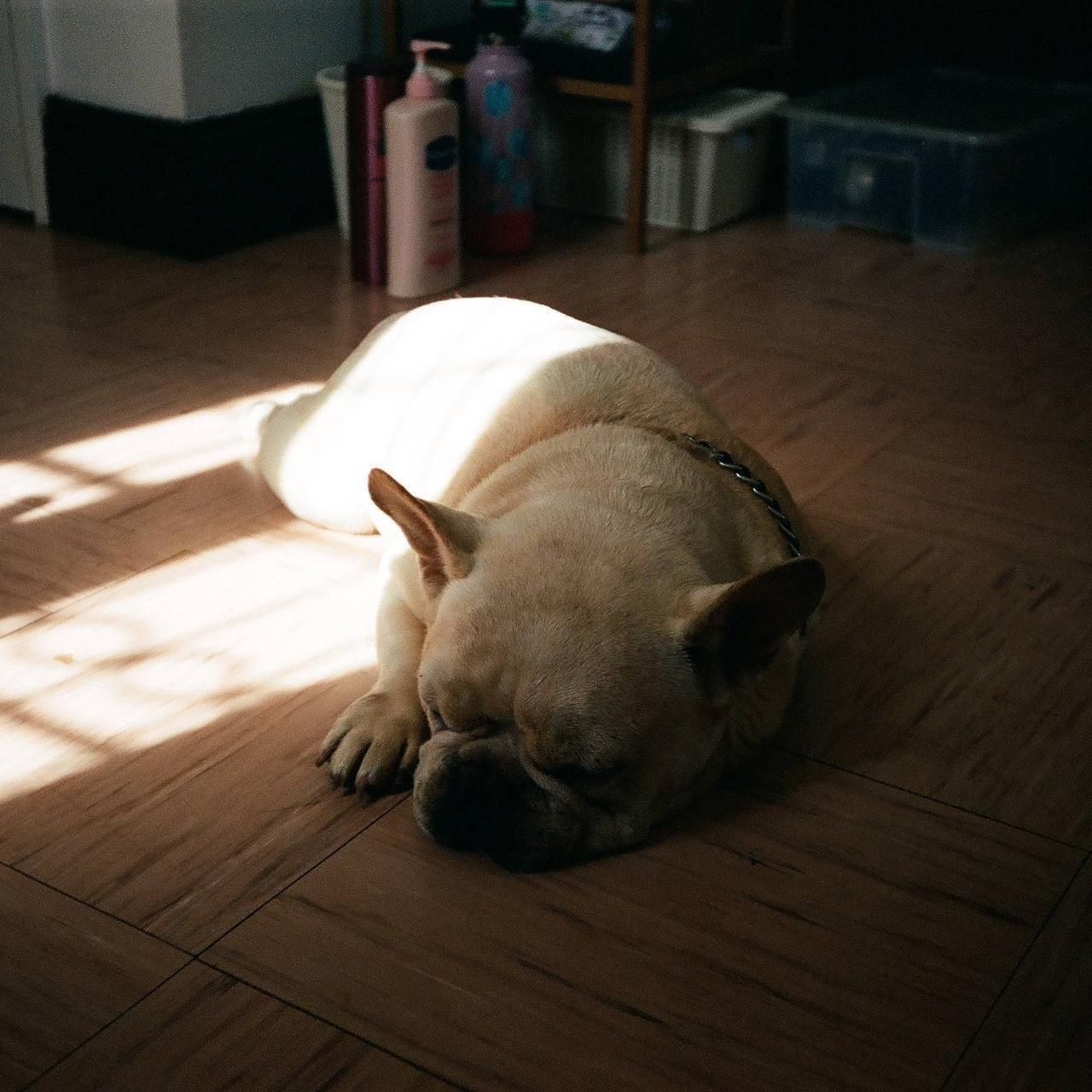 Camera: Samsung AF1050 Zoom - Image 8