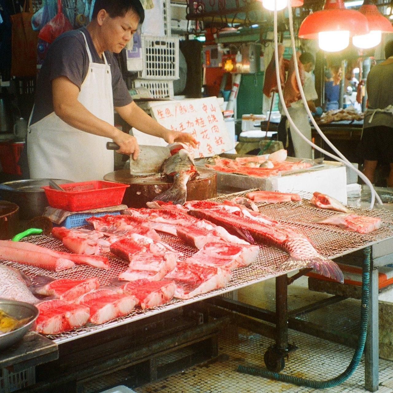 Camera; Vivitar 650pz Data Back - Image 5